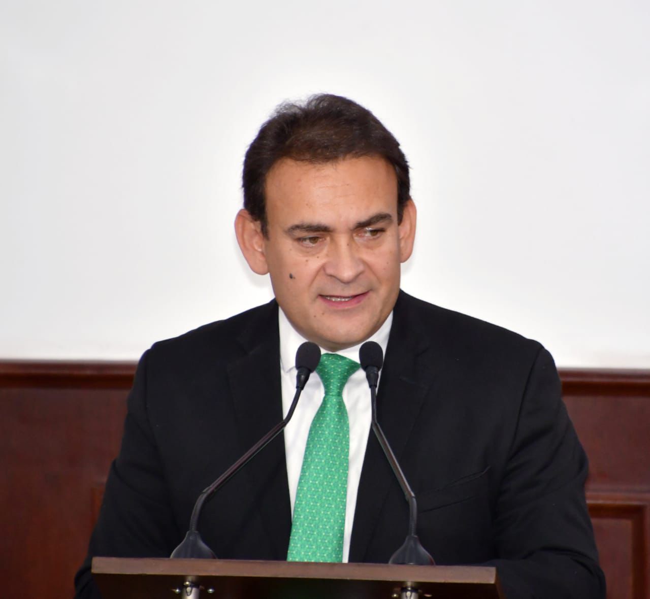 Foto._DIP_ÁLVARO_MOREIRA_8.jpeg