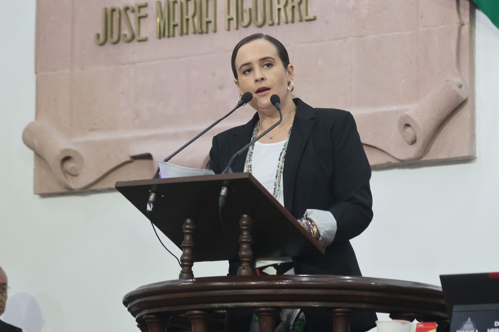 Foto._DIP_BEATRIZ_FRAUSTRO_10.jpeg