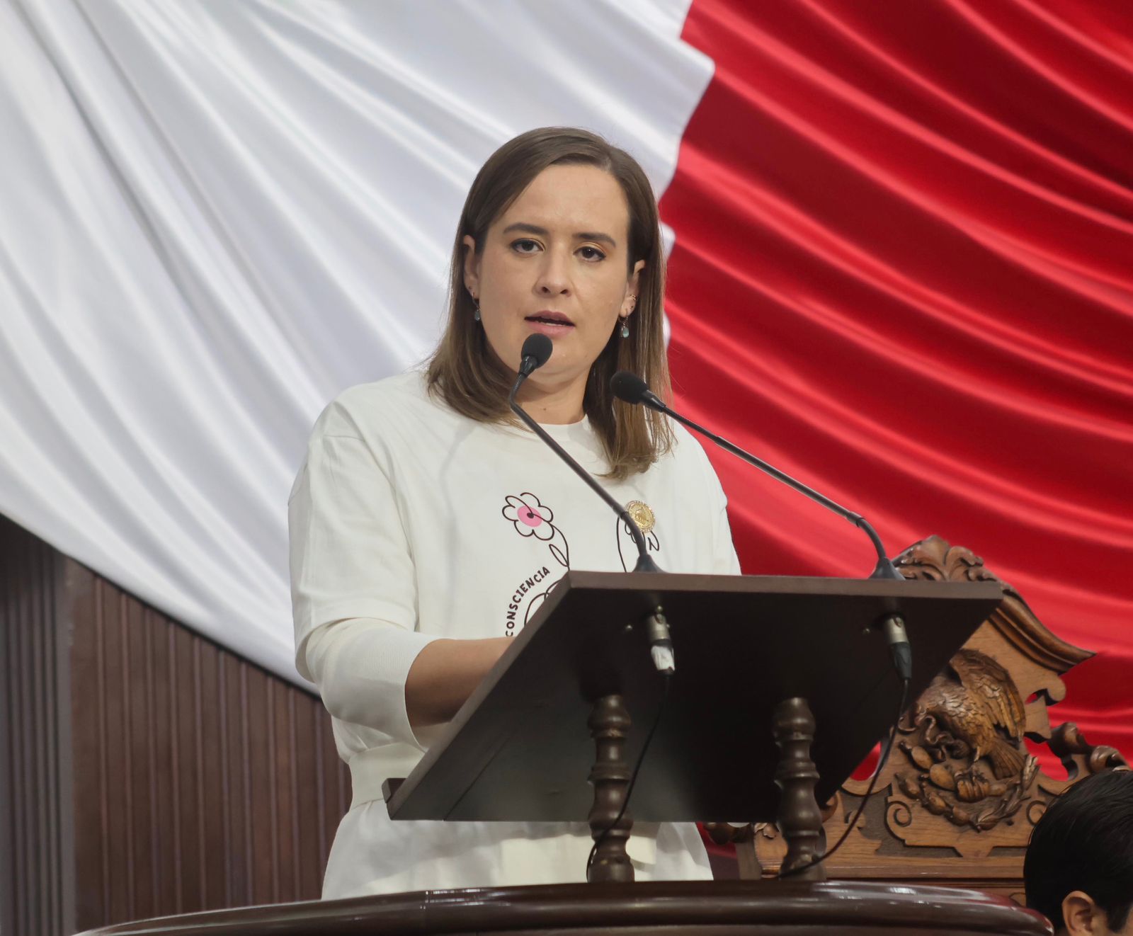 Foto._DIP_BEATRIZ_FRAUSTRO_13.jpeg