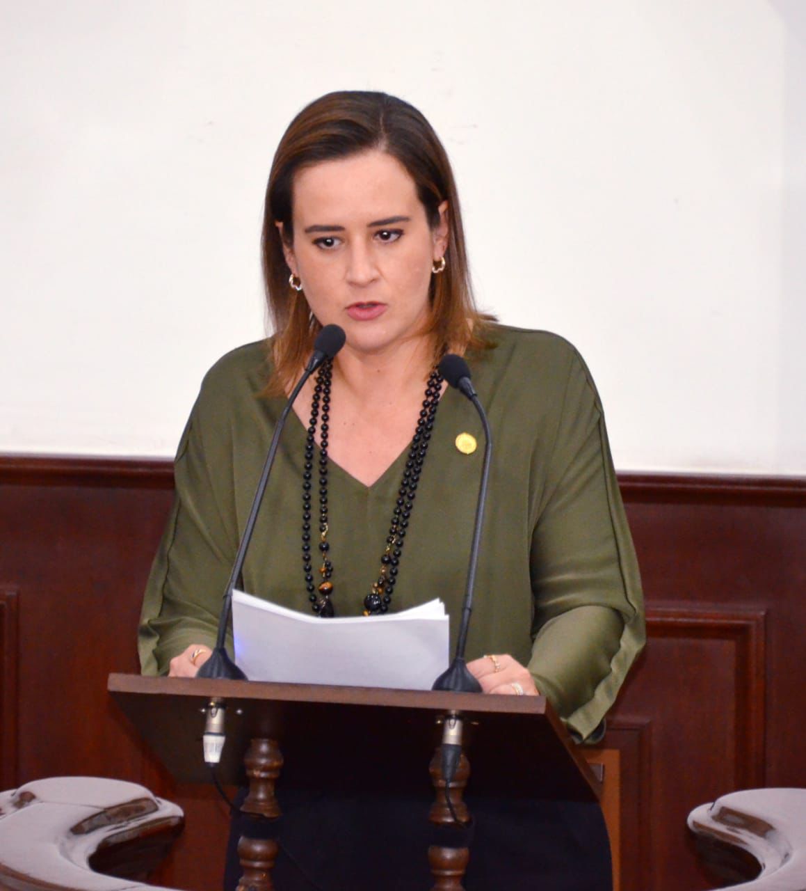 Foto._DIP_BEATRIZ_FRAUSTRO_2.jpeg