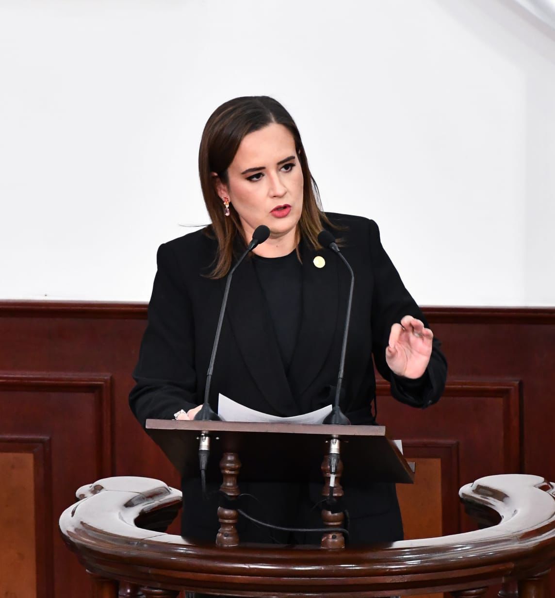 Foto._DIP_BEATRIZ_FRAUSTRO_3.jpeg