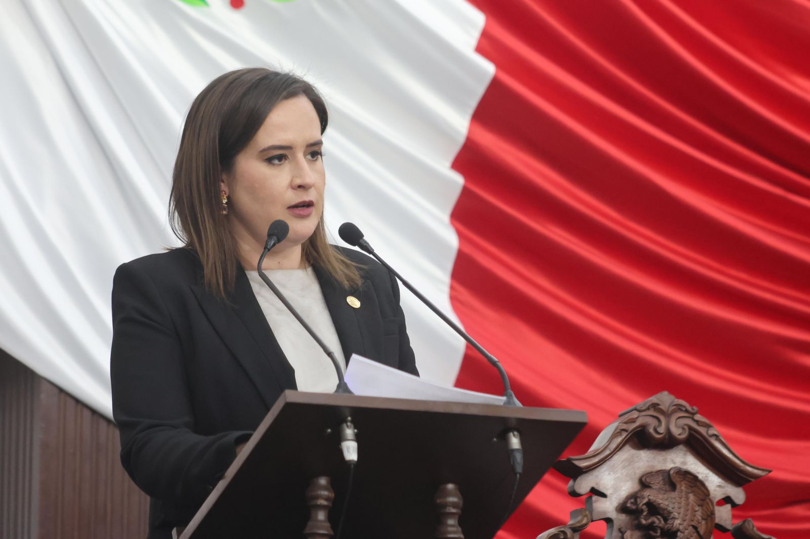 Foto._DIP_BEATRIZ_FRAUSTRO_7.jpeg