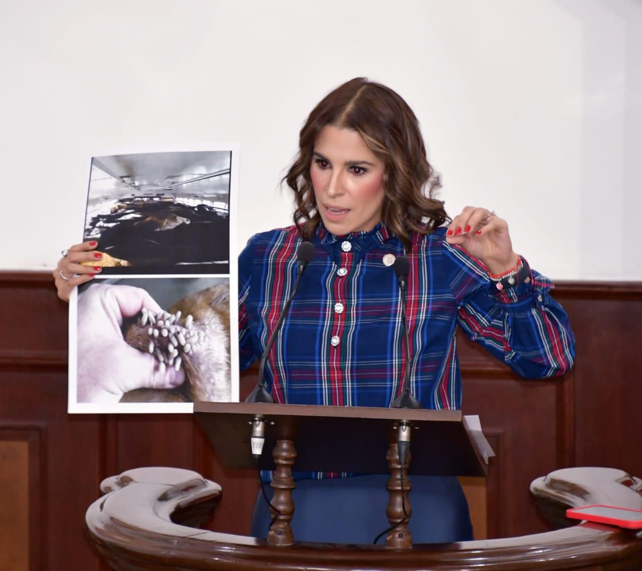 Foto._DIP_CLAUIDA_ALDRETE_02JUL.jpeg